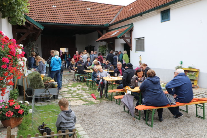 Orndinger Höfefest 2017 - Hinters Tor g'schaut